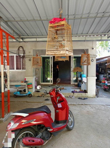 ขายทอดตลาด ที่ดินพร้อมสิ่งปลูกสร้าง ต.โพธิ์ทอง อ.ท่าศาลา จ.นครศรีธรรมราช