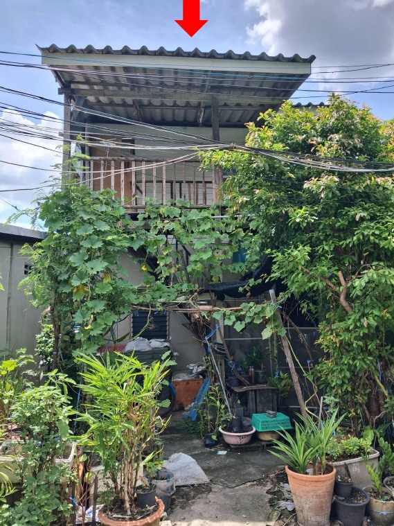 ขายทอดตลาด ที่ดินพร้อมสิ่งปลูกสร้าง ต.บางกระสอ อ.เมืองนนทบุรี จ.นนทบุรี