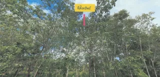 รูปทรัพย์ 2