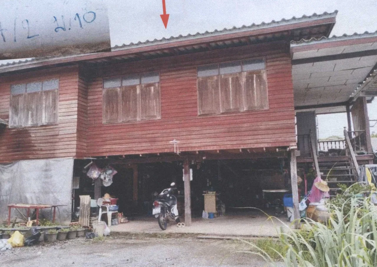 ขายทอดตลาด ที่ดินพร้อมสิ่งปลูกสร้าง ต.บางม่วง(บางม่วงฝั่งใต้) อ.บางใหญ่ จ.นนทบุรี