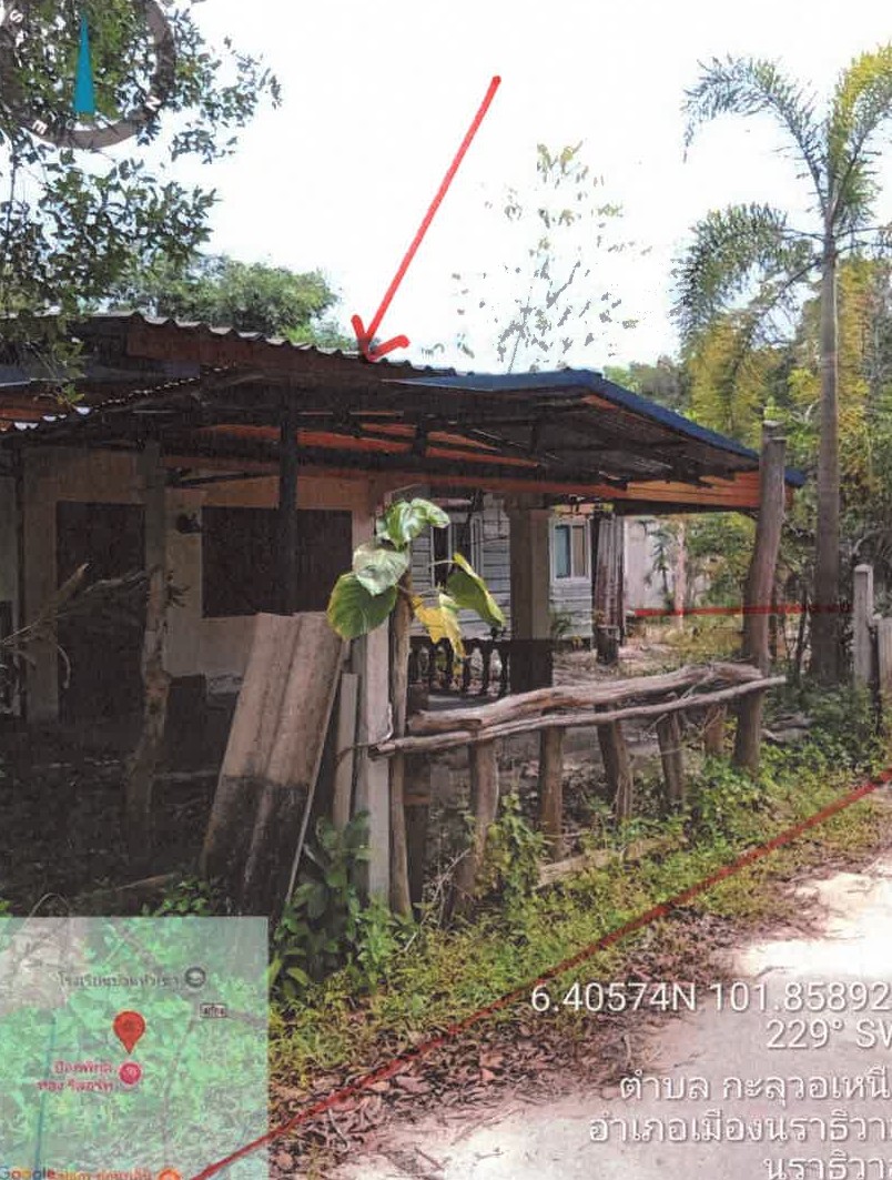 ขายทอดตลาด ที่ดินพร้อมสิ่งปลูกสร้าง ต.กะลุวอเหนือ อ.เมืองนราธิวาส จ.นราธิวาส