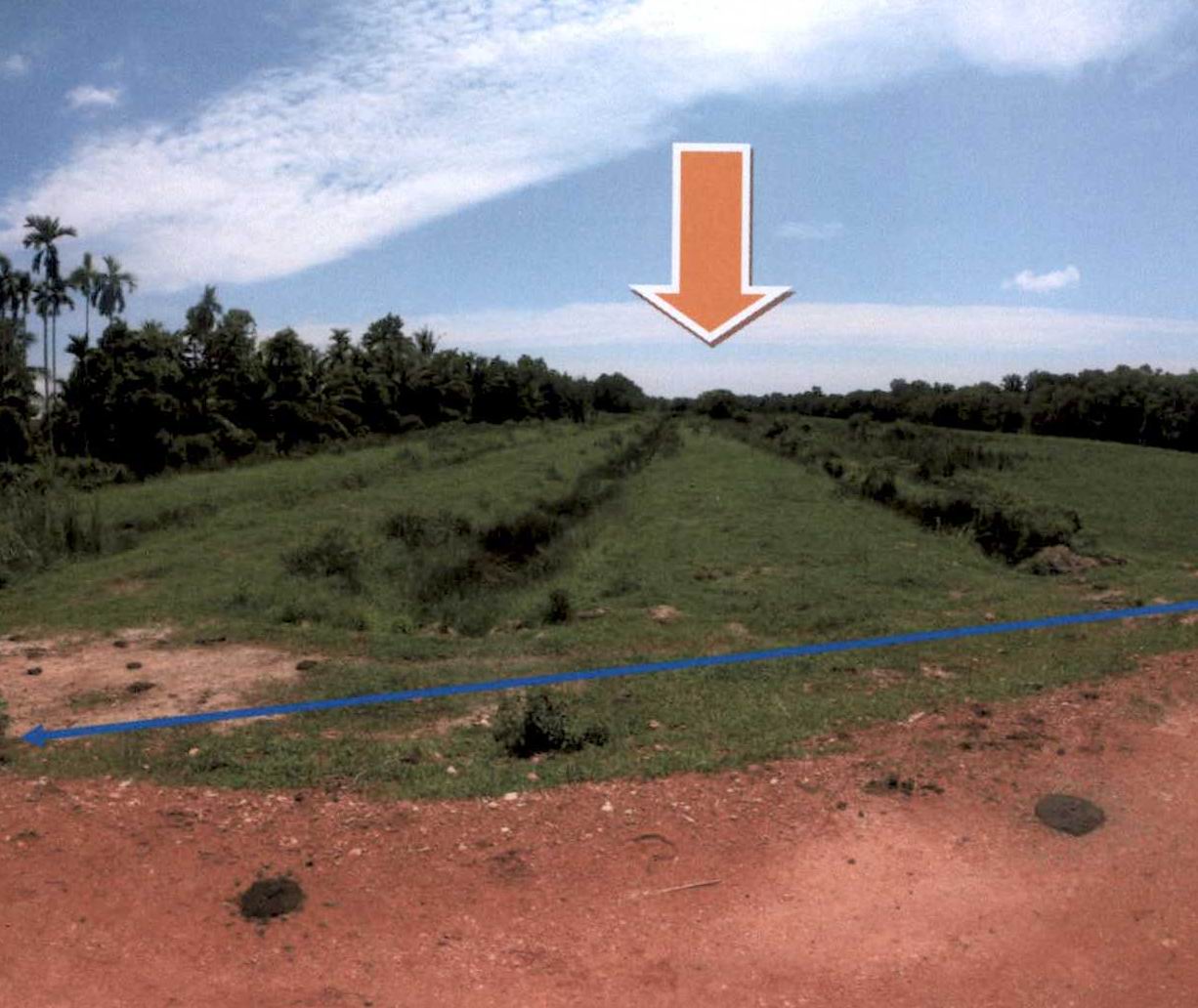 ขายทอดตลาด ที่ดินว่างเปล่า ต.กะลุวอเหนือ อ.เมืองนราธิวาส จ.นราธิวาส