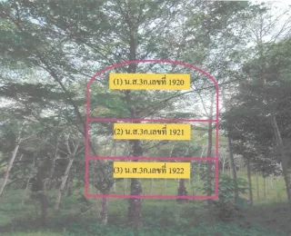 รูปทรัพย์ 4