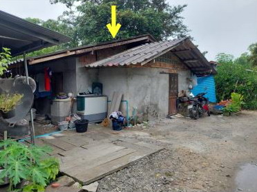ขายทอดตลาด ที่ดินพร้อมสิ่งปลูกสร้าง ต.อินคีรี อ.พรหมคีรี จ.นครศรีธรรมราช