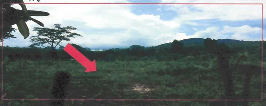 ขายทอดตลาด ที่ดินว่างเปล่า ต.สามัคคี อ.รือเสาะ จ.นราธิวาส