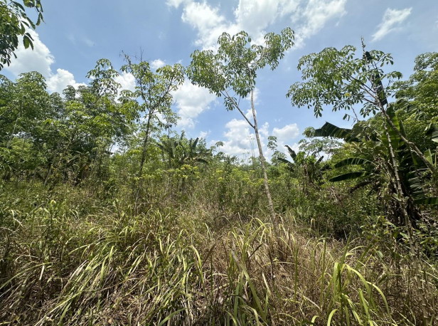 ขายทอดตลาด ที่ดินว่างเปล่า ต.แม่เมาะ อ.แม่เมาะ จ.ลำปาง
