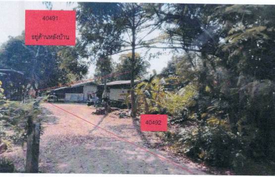 ขายทอดตลาด ที่ดินว่างเปล่า ต.โพธิ์งาม อ.ประจันตคาม จ.ปราจีนบุรี