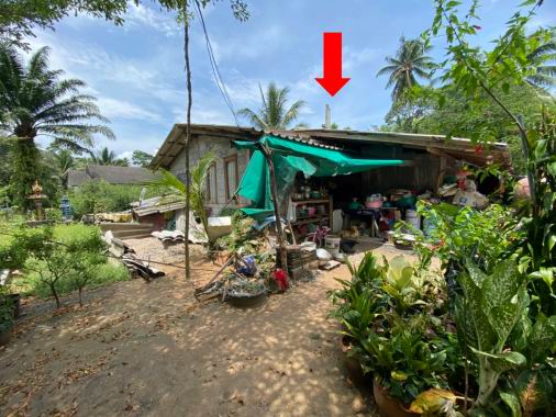 ขายทอดตลาด ที่ดินพร้อมสิ่งปลูกสร้าง ต.ขนอม อ.ขนอม จ.นครศรีธรรมราช