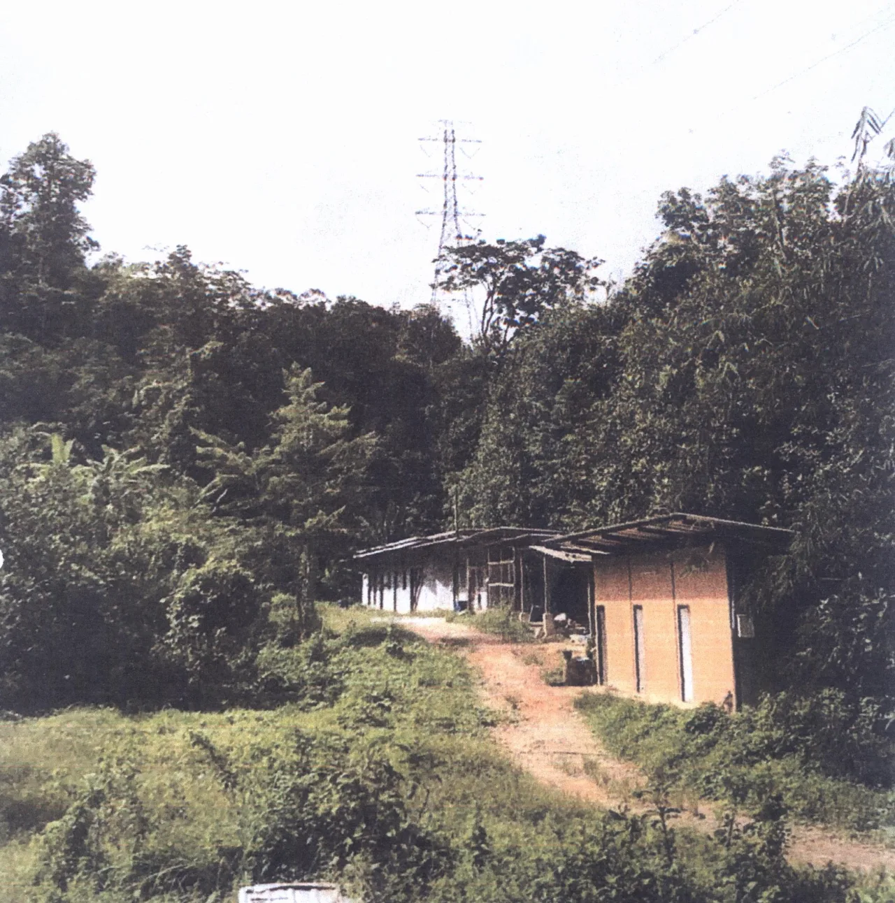 ขายทอดตลาด ที่ดินพร้อมสิ่งปลูกสร้าง ต.ท่าอยู่ อ.ตะกั่วทุ่ง จ.พังงา