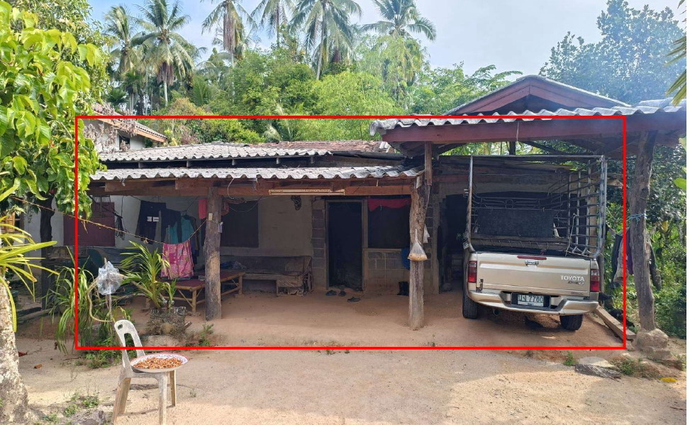 ขายทอดตลาด ที่ดินพร้อมสิ่งปลูกสร้าง ต.สุวารี อ.รือเสาะ จ.นราธิวาส
