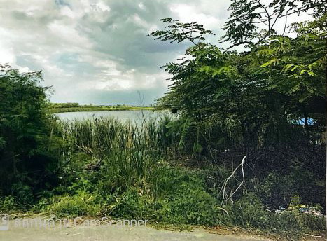 ขายทอดตลาด ที่ดินว่างเปล่า ต.บางบัวทอง อ.บางบัวทอง จ.นนทบุรี