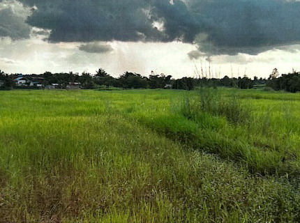 ขายทอดตลาด ที่ดินว่างเปล่า ต.นามะเขือ อ.สหัสขันธ์ จ.กาฬสินธุ์