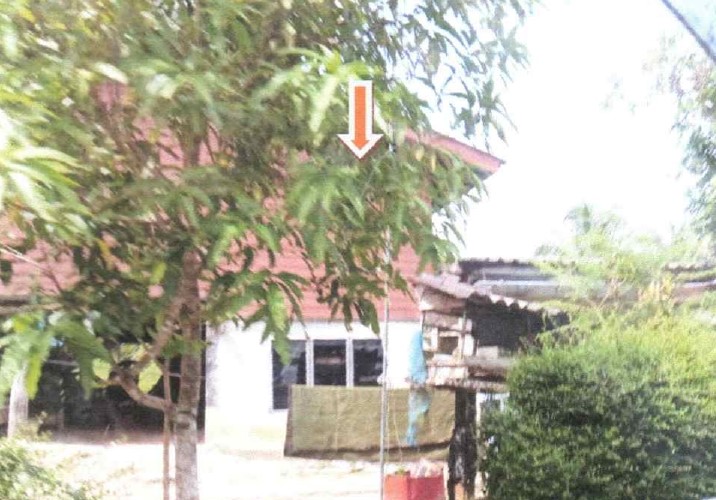 ขายทอดตลาด ที่ดินพร้อมสิ่งปลูกสร้าง ต.ตะมะยูง อ.ศรีสาคร จ.นราธิวาส