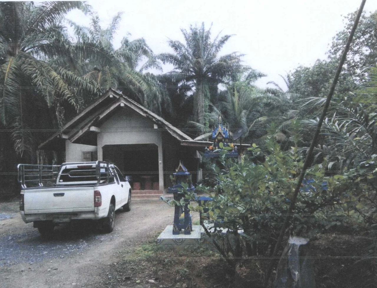 ขายทอดตลาด ที่ดินพร้อมสิ่งปลูกสร้าง ต.มะรุ่ย อ.ทับปุด จ.พังงา