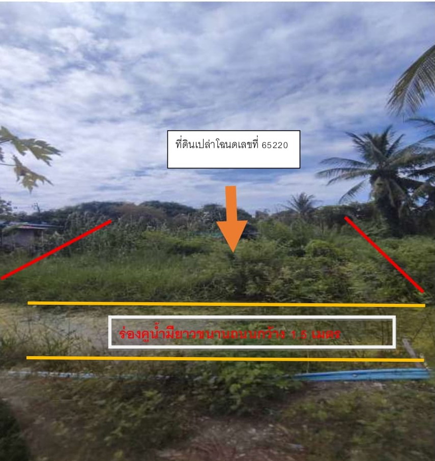ขายทอดตลาด ที่ดินว่างเปล่า ต.ราษฎร์นิยม อ.ไทรน้อย จ.นนทบุรี