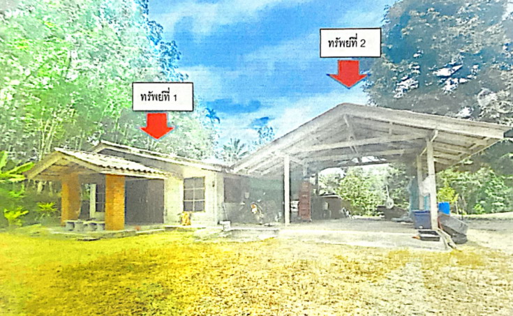 ขายทอดตลาด ที่ดินพร้อมสิ่งปลูกสร้าง ต.กรุงชิง อ.นบพิตำ จ.นครศรีธรรมราช