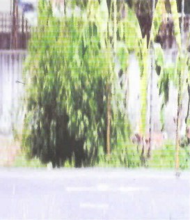 รูปทรัพย์ 2