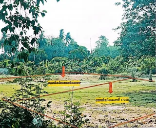 รูปทรัพย์ 1