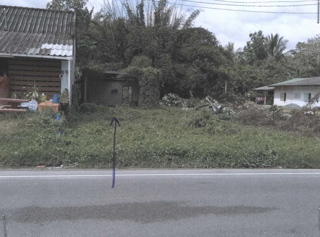 ขายทอดตลาด ที่ดินว่างเปล่า ต.ทับปุด อ.ทับปุด จ.พังงา