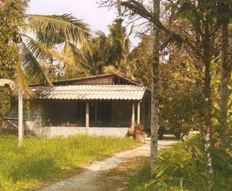 ขายทอดตลาด ที่ดินพร้อมสิ่งปลูกสร้าง ต.นาเคียน อ.เมืองนครศรีธรรมราช จ.นครศรีธรรมราช