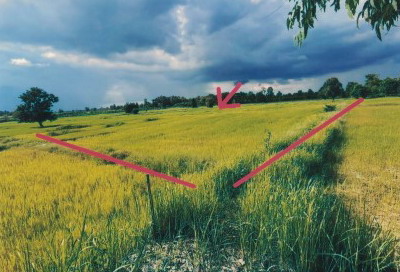 ขายทอดตลาด ที่ดินว่างเปล่า ต.ยอดแกง อ.นามน จ.กาฬสินธุ์