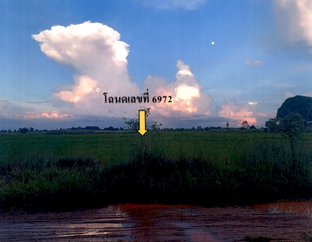 ขายทอดตลาด ที่ดินว่างเปล่า ต.หัวหิน อ.ห้วยเม็ก จ.กาฬสินธุ์