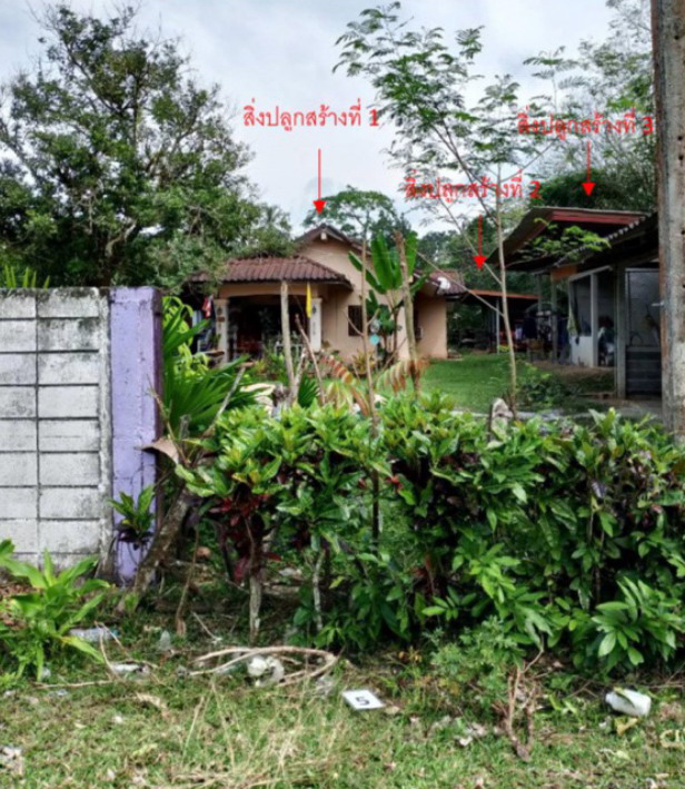 ขายทอดตลาด ที่ดินพร้อมสิ่งปลูกสร้าง ต.บาตง อ.รือเสาะ จ.นราธิวาส