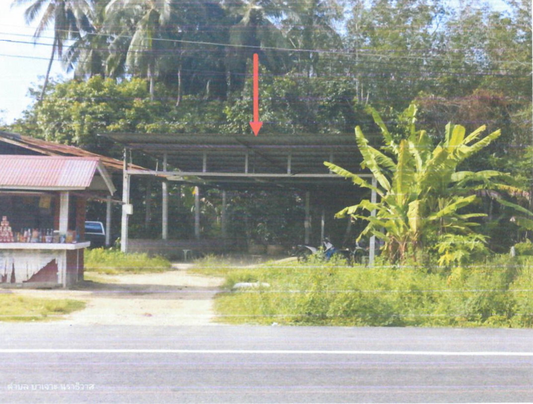 ขายทอดตลาด ที่ดินพร้อมสิ่งปลูกสร้าง ต.บาเจาะ อ.บาเจาะ จ.นราธิวาส