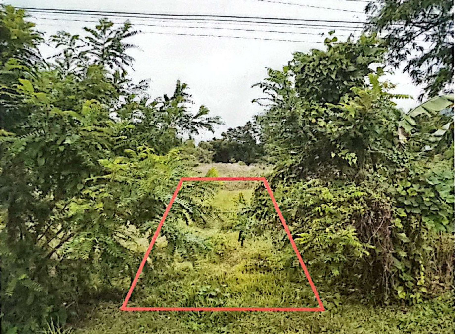 ขายทอดตลาด ที่ดินว่างเปล่า ต.บองอ อ.ระแงะ จ.นราธิวาส