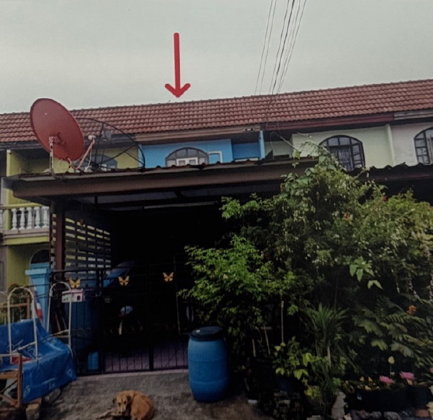 ขายทอดตลาด ที่ดินพร้อมสิ่งปลูกสร้าง ต.บางบัวทอง(หนองเซียงโคต) อ.บางบัวทอง จ.นนทบุรี