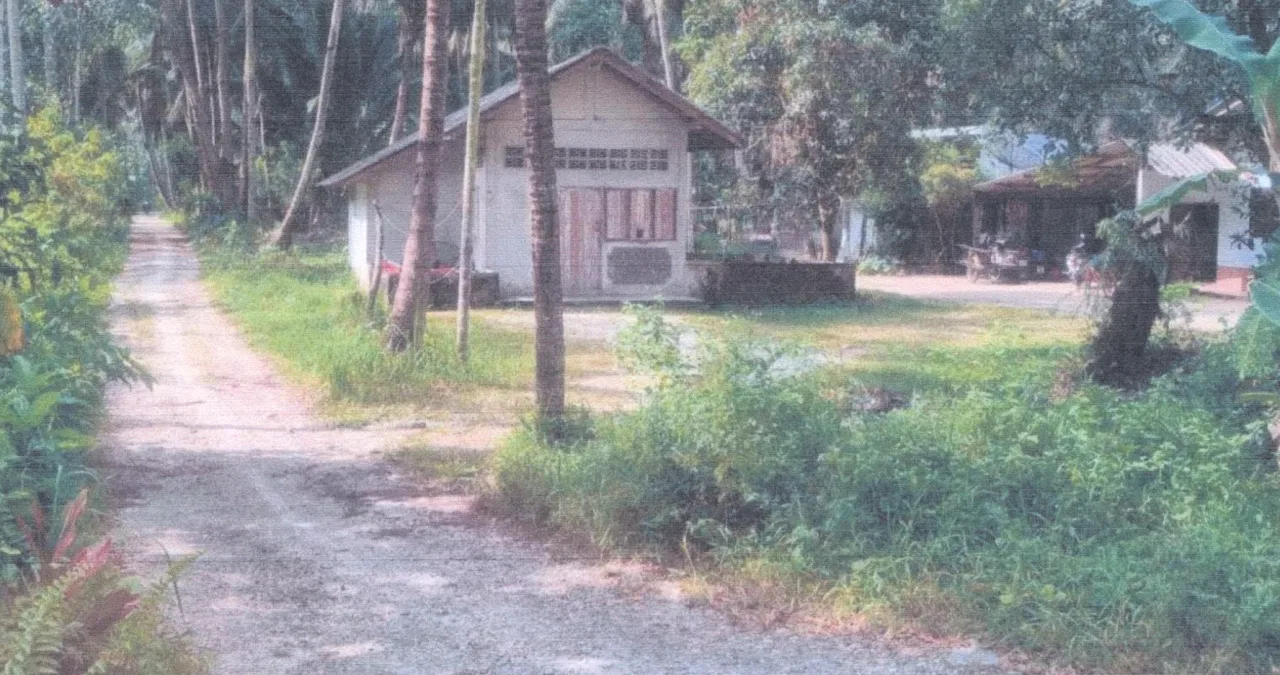 ขายทอดตลาด ที่ดินพร้อมสิ่งปลูกสร้าง ต.กลาย อ.ท่าศาลา จ.นครศรีธรรมราช