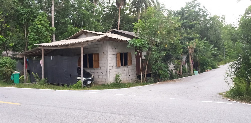 ขายทอดตลาด ที่ดินพร้อมสิ่งปลูกสร้าง ต.บาเระใต้ อ.บาเจาะ จ.นราธิวาส