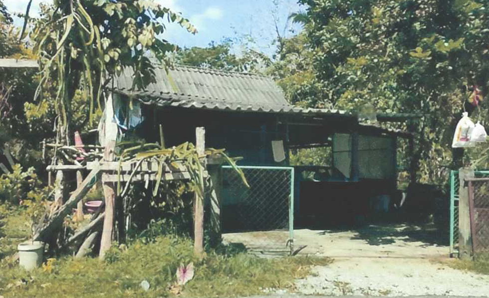 ขายทอดตลาด ที่ดินพร้อมสิ่งปลูกสร้าง ต.ฆอเลาะ อ.แว้ง จ.นราธิวาส