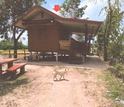 ขายทอดตลาด ที่ดินพร้อมสิ่งปลูกสร้าง ต.นาจำปา อ.ดอนจาน จ.กาฬสินธุ์