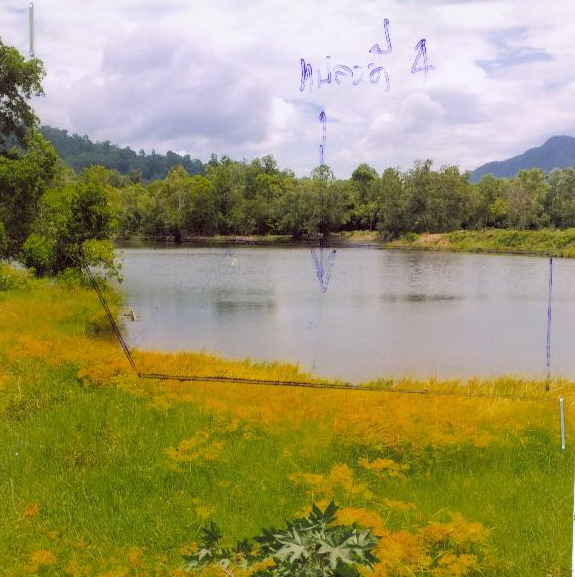 ขายทอดตลาด ที่ดินว่างเปล่า ต.ท่างิ้ว อ.เมืองนครศรีธรรมราช จ.นครศรีธรรมราช