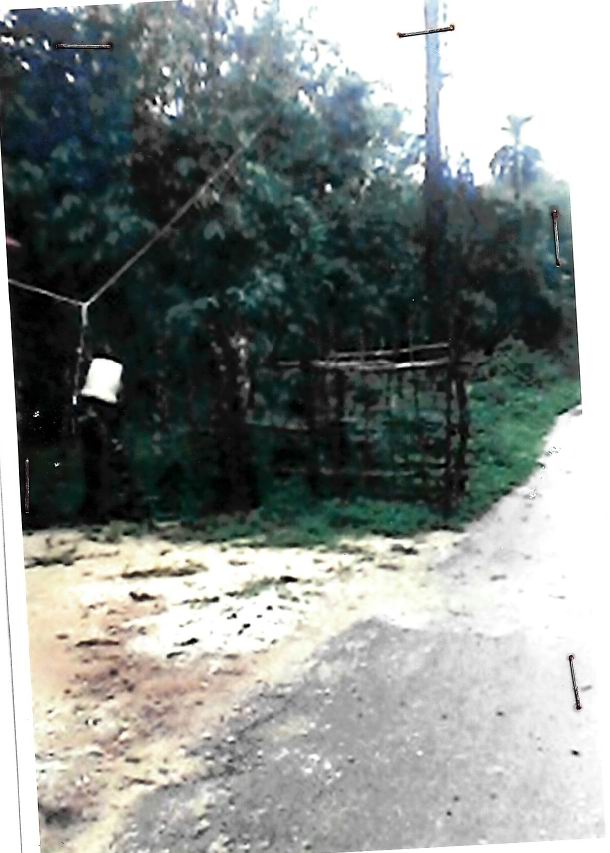 ขายทอดตลาด ที่ดินว่างเปล่า ต.ลำภู อ.เมืองนราธิวาส จ.นราธิวาส