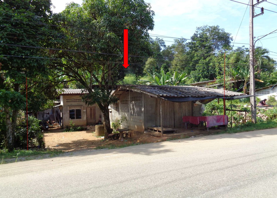 ขายทอดตลาด ที่ดินพร้อมสิ่งปลูกสร้าง ต.ช้างเผือก อ.จะแนะ จ.นราธิวาส