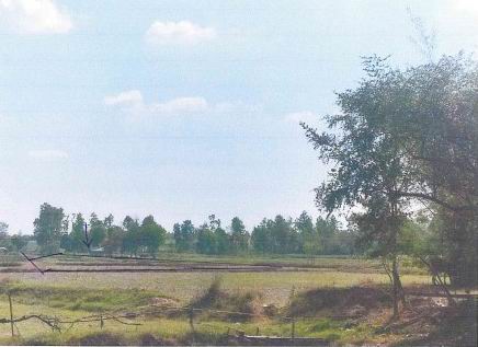 ขายทอดตลาด ที่ดินว่างเปล่า ต.นามะเขือ อ.สหัสขันธ์ จ.กาฬสินธุ์