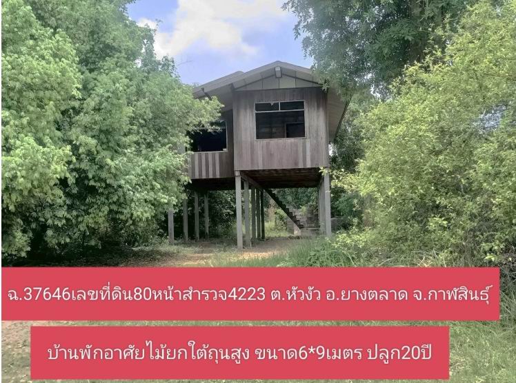 ขายทอดตลาด ที่ดินพร้อมสิ่งปลูกสร้าง ต.หัวงัว อ.ยางตลาด จ.กาฬสินธุ์