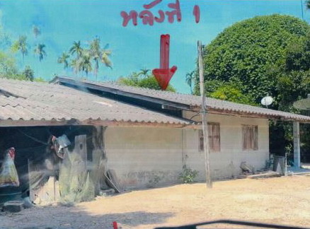 ขายทอดตลาด ที่ดินพร้อมสิ่งปลูกสร้าง ต.ท่าขึ้น อ.ท่าศาลา จ.นครศรีธรรมราช