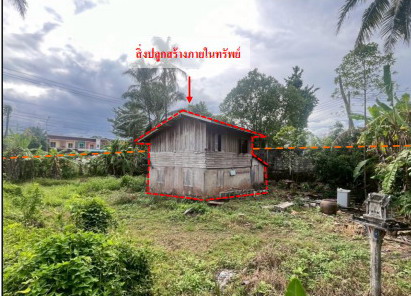 ขายทอดตลาด ที่ดินพร้อมสิ่งปลูกสร้าง ต.ทุ่งใส อ.สิชล จ.นครศรีธรรมราช