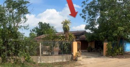 ขายทอดตลาด ที่ดินพร้อมสิ่งปลูกสร้าง ต.โนนศิลาเลิง อ.ฆ้องชัย จ.กาฬสินธุ์