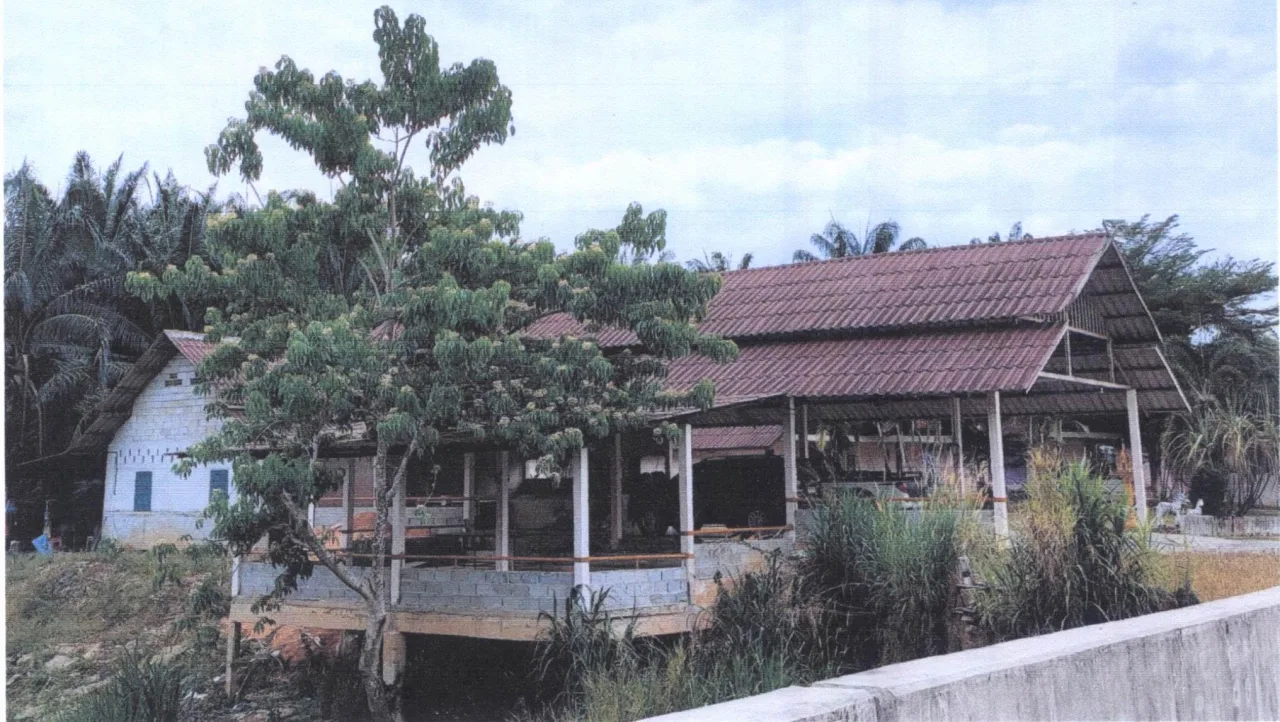 ขายทอดตลาด ที่ดินพร้อมสิ่งปลูกสร้าง ต.บางเหรียง อ.ทับปุด จ.พังงา