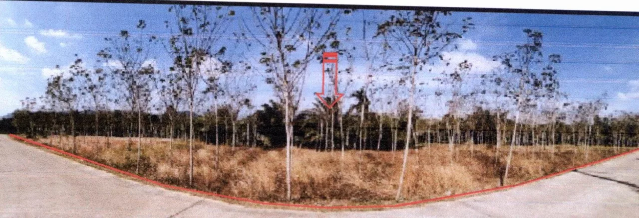 ขายทอดตลาด ที่ดินว่างเปล่า ต.ป่ากอ อ.เมืองพังงา จ.พังงา