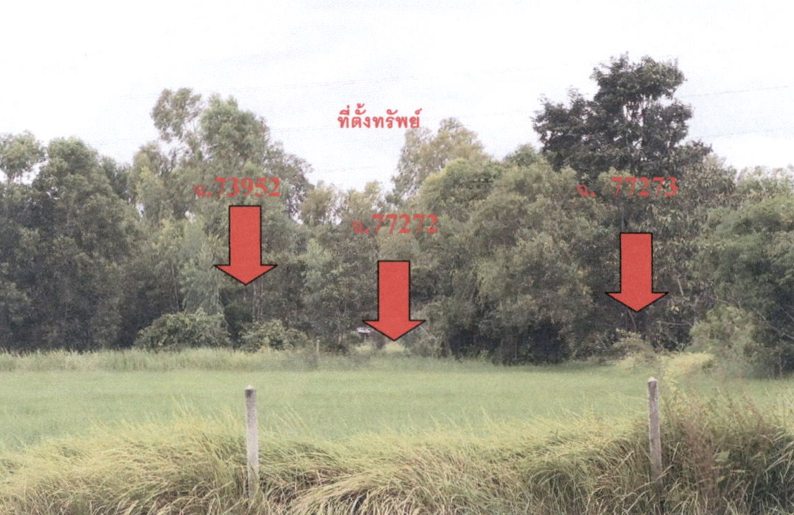 ขายทอดตลาด ที่ดินว่างเปล่า ต.กาฬสินธุ์ อ.เมืองกาฬสินธุ์ จ.กาฬสินธุ์