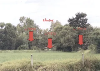 รูปทรัพย์ 2