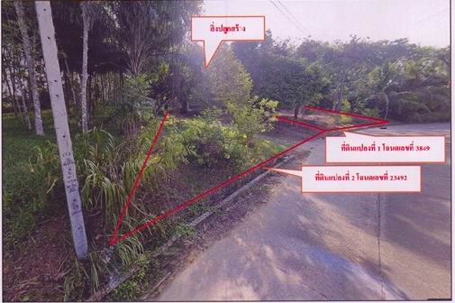ขายทอดตลาด ที่ดินว่างเปล่า จ.พังงา