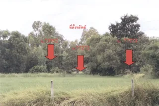 รูปทรัพย์ 3
