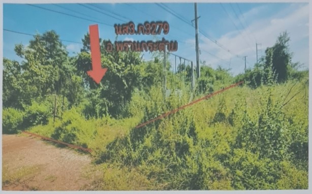 ขายทอดตลาด ที่ดินว่างเปล่า ต.พรานกระต่าย อ.พรานกระต่าย จ.กำแพงเพชร