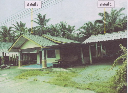 ขายทอดตลาด ที่ดินพร้อมสิ่งปลูกสร้าง ต.มะรุ่ย อ.ทับปุด จ.พังงา